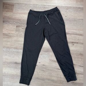 Patagonia joggers
